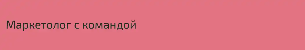 Маркетолог с командой 